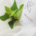 Mint Summer Freshness Scented Candle