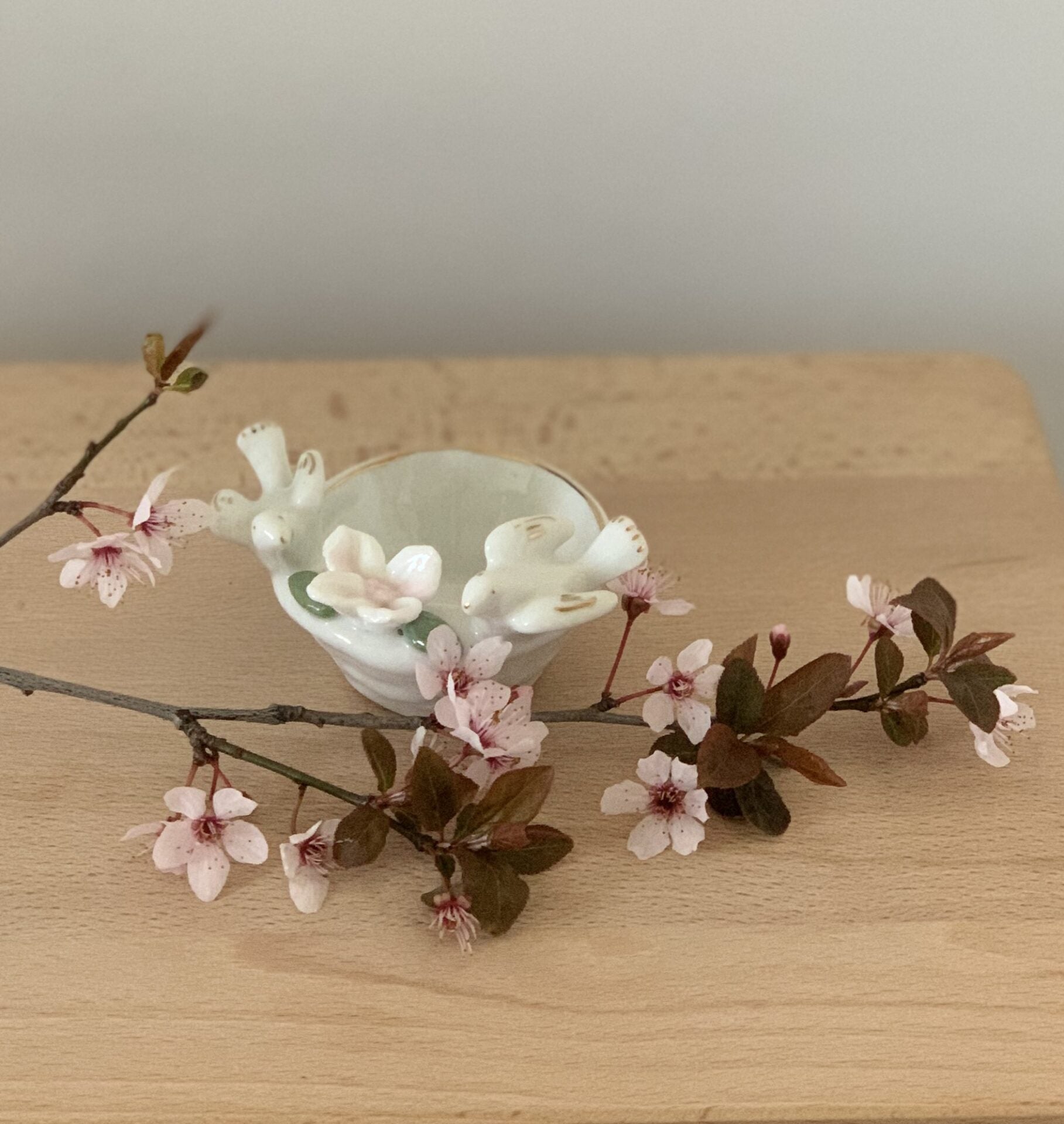 empty pockets of birds